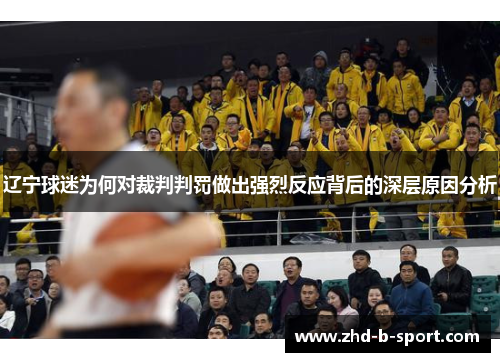 辽宁球迷为何对裁判判罚做出强烈反应背后的深层原因分析 辽宁球迷为何对裁判判罚做出强烈反应背后的深层原因分析